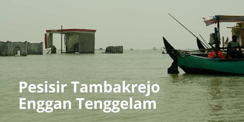 Pesisir Tambakrejo Enggan Tenggelam, dan Upaya Kelompok Camar Menjaga Sisa Mangrove yang Ada!